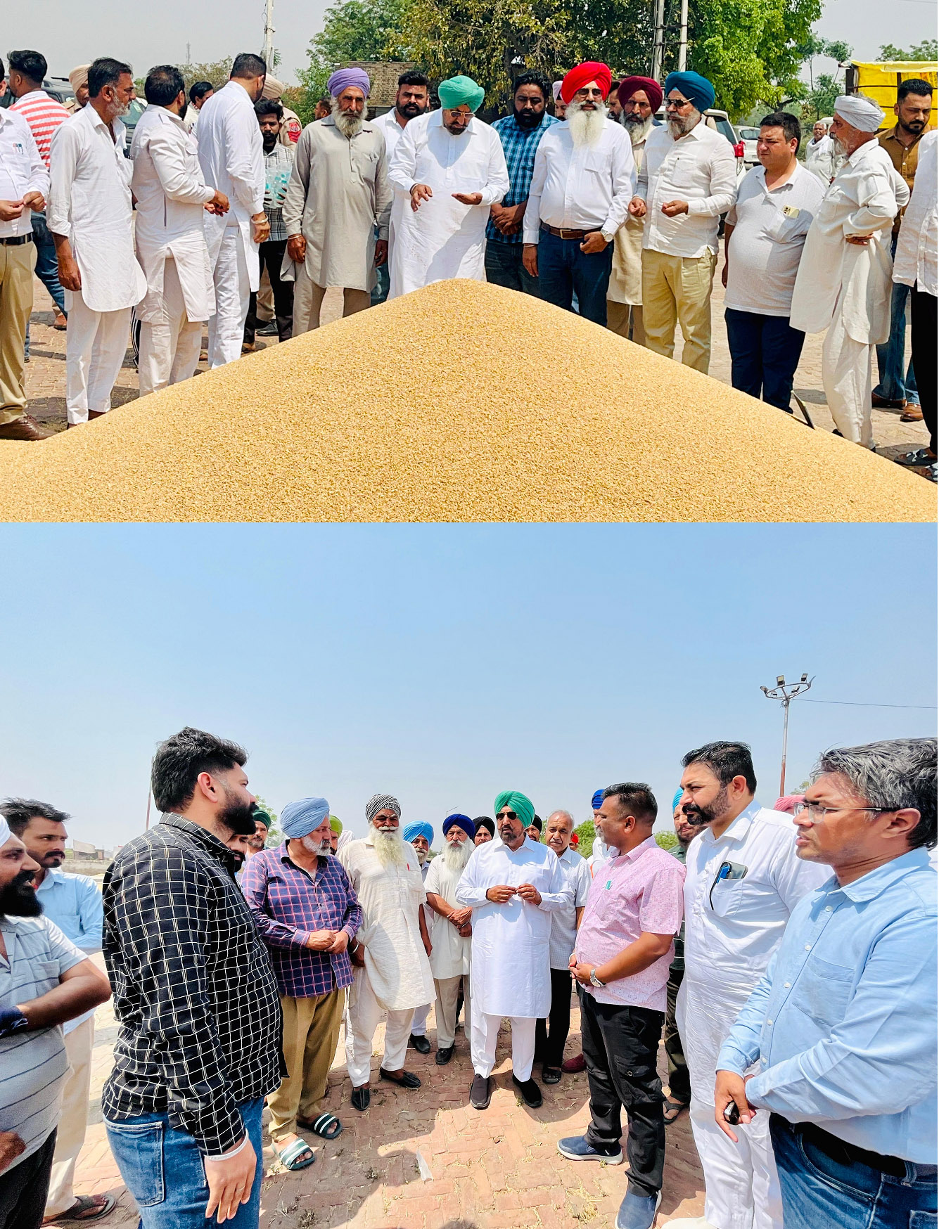 MLA Kuljit Singh Randhawa Inaugurates Procurement Operations in Various Mandis